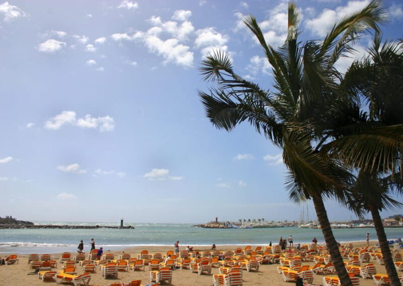 Maspalomas and Mogan: beaches tour - In-Depth Review of the Maspalomas and Mogan Beaches Tour