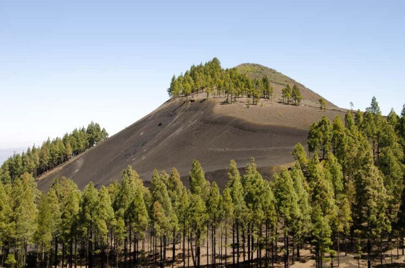 Maspalomas & Las Palmas: Artenara, Tamadaba & cider tasting - Final Thoughts: Who Should Consider This Tour?