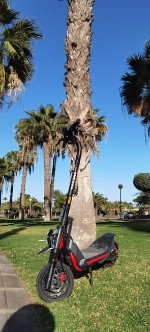 Maspalomas & Playa del Ingles: Guided Electric Segway Tour - Final Thoughts: Who Should Book?