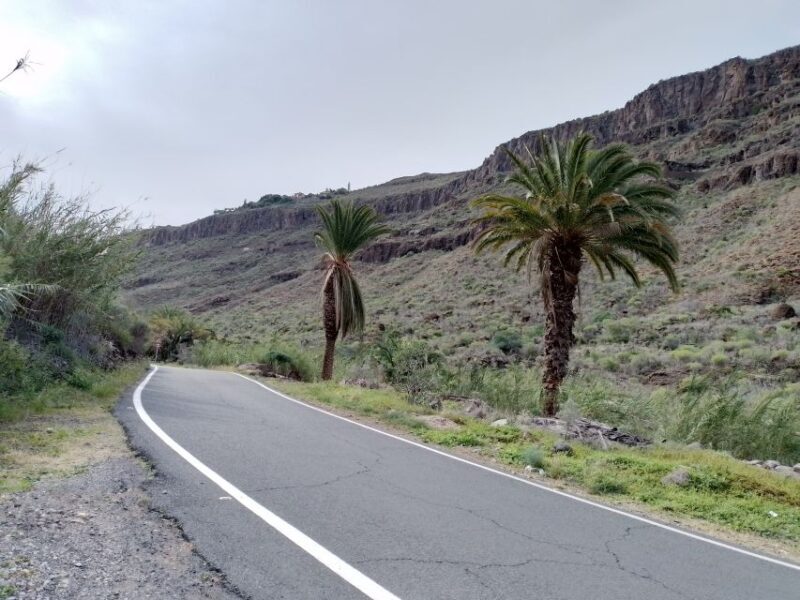 Maspalomas: Southern Coast E-Bike Tour Option Tapas Tasting - Final Thoughts