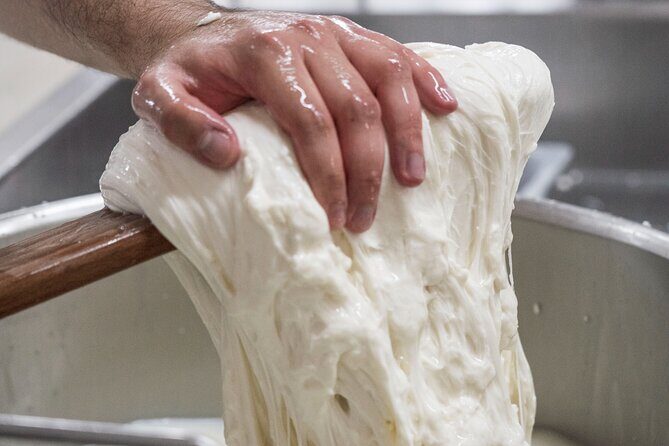 Masseria Seppunisi Tour - Mozzarella and Burrata experience - Who Will Appreciate This Tour?