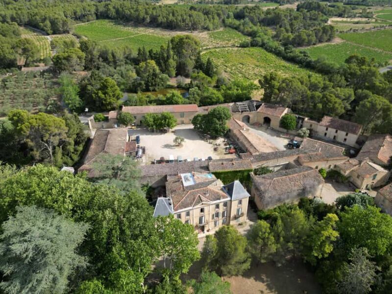 Massmamier La Mignarde : Wine Tasting - Key Points