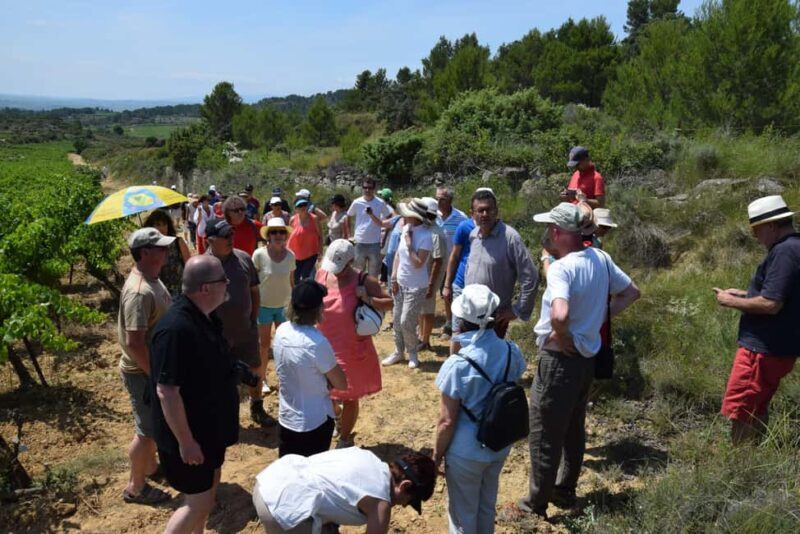 Massmamier La Mignarde : Wine Tasting - A Deep Dive Into the Experience