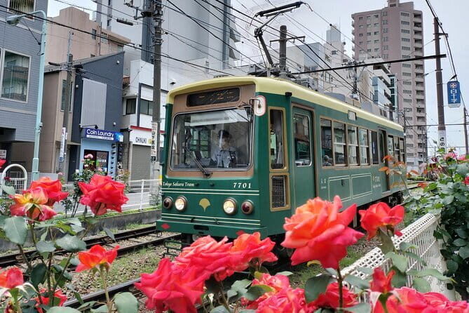 Master Tokyo's public transport and visit hidden neighborhoods - The Practical Aspects of the Tour