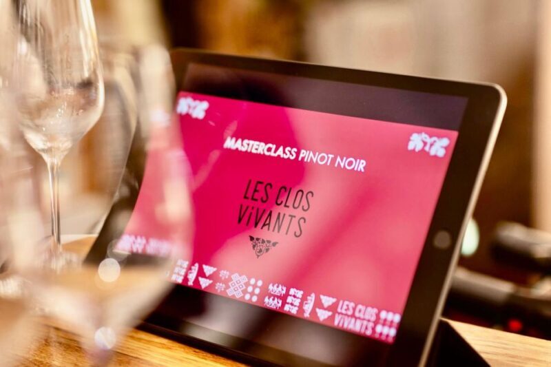 Masterclass Pinot Noir - Wine tasting in Dijon - Who Will Appreciate This Tour?