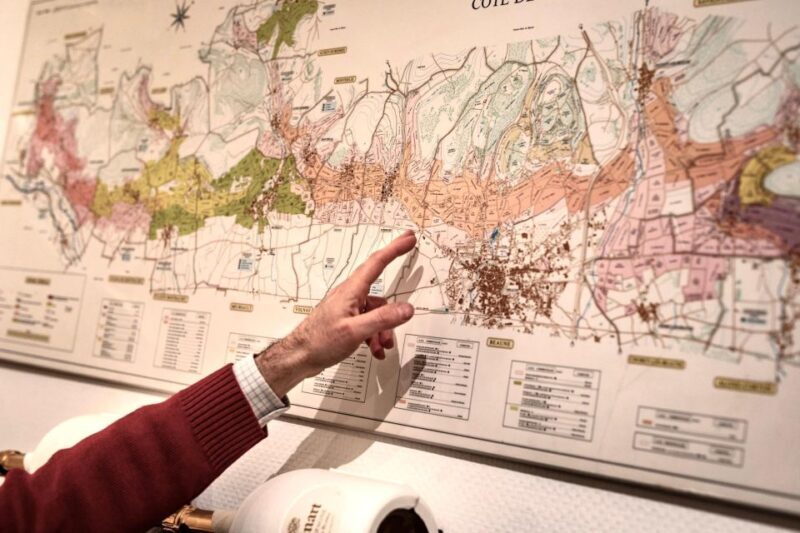 Masterclass Pinot Noir - Wine tasting in Dijon - The Sum Up