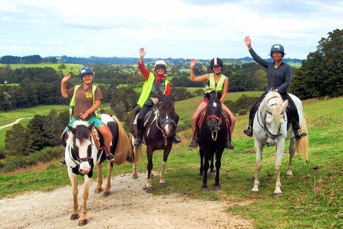 Matakana Art & Horse Riding Experience Private Tour From Auckland - Why This Tour Offers Great Value