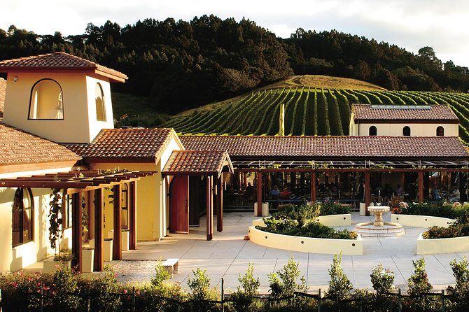 Matakana Riverside Market, Beaches and Winery Tour from Auckland - Key Points