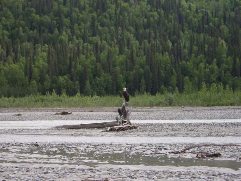 Matanuska River Scenic Float - The Experience: What Travelers Are Saying