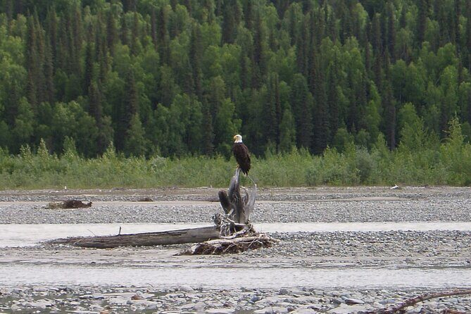 Matanuska River Scenic Float - The Sum Up: Is This the Right Experience for You?