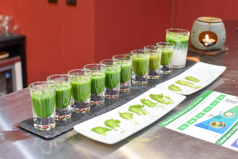 Matcha Making Experience and Matcha Comparison in Tokyo. - What to know before you book