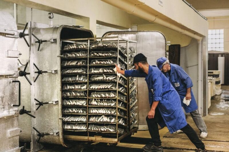 Matosinhos: Conservas Pinhais Factory Tour - Exploring the Conservas Pinhais Factory Tour in Matosinhos