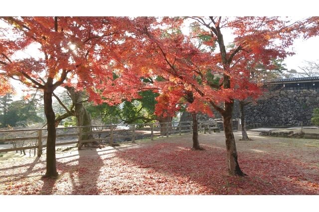 Matsue Castle admission ticket (Shimane) - At a glance