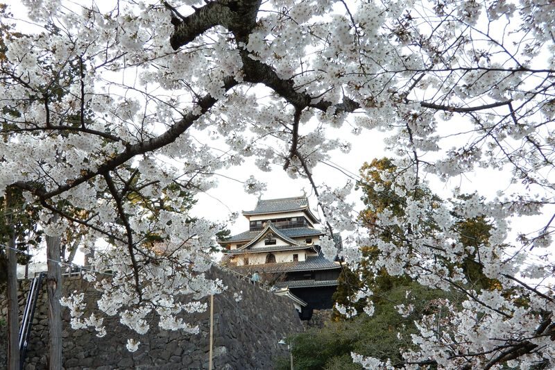 Matsue Castle admission ticket (Shimane) - Keep-only or three-site ticket?