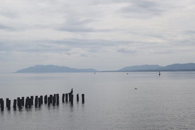 Matsue Half-Day Private Trip with Government-Licensed Guide - A Deep Dive: Why This Tour is Worth Your Time in Matsue