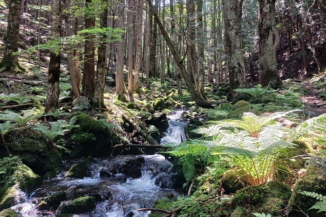 Matsumoto Mt.Hachibuse - A Close Look at the Matsumoto Mt. Hachibuse Tour