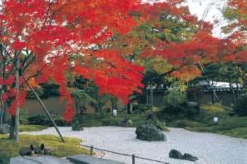 Matsushima: Autumn Half-Day Tour by Land, Sea, and Air - An In-Depth Look at the Tour Experience