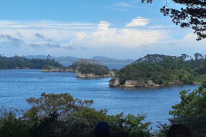 Matsushima Bay, Islands and Seafood Market day tour from Tokyo - Who Would Enjoy This Tour?