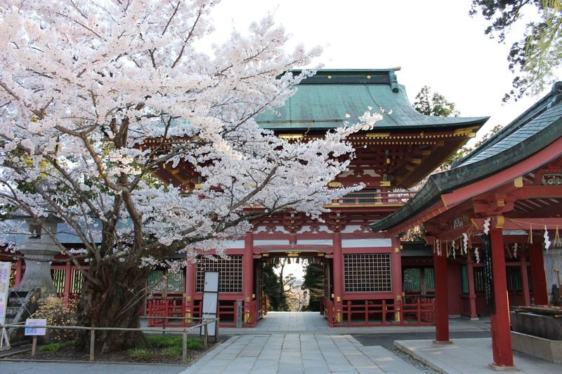 Matsushima Sightseeing Cruise & Chuson-ji Full-Day Tour - From Sendai to Shiogama Shrine
