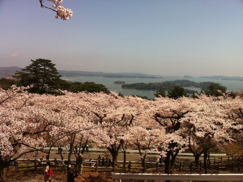 Matsushima Sightseeing Cruise & Chuson-ji Full-Day Tour - Chuson-ji and the Golden Hall