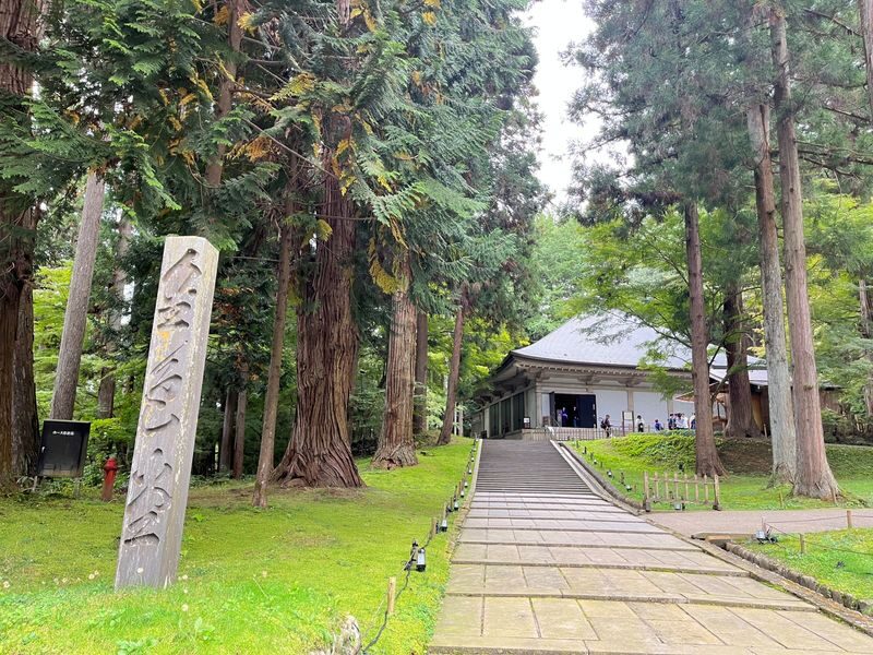 Matsushima Sightseeing Cruise & Chuson-ji Full-Day Tour - Transport, guide, and group-size details