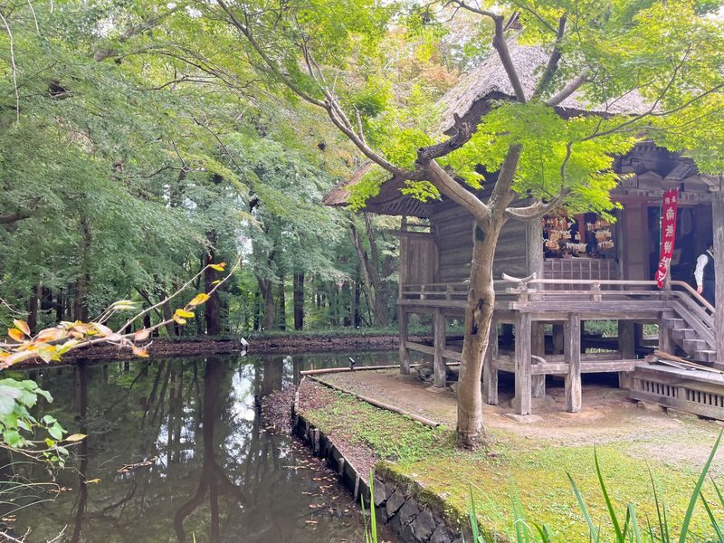 Matsushima Sightseeing Cruise & Chuson-ji Full-Day Tour - Is the $145.05 starting price good value?