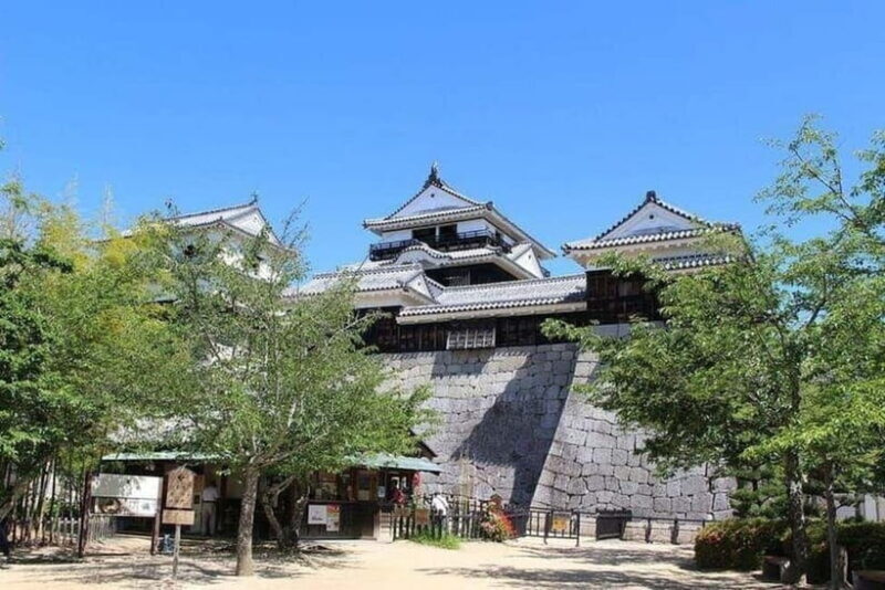 Matsuyama Private Tour with Government-Licensed Guide - Who Should Consider This Tour?