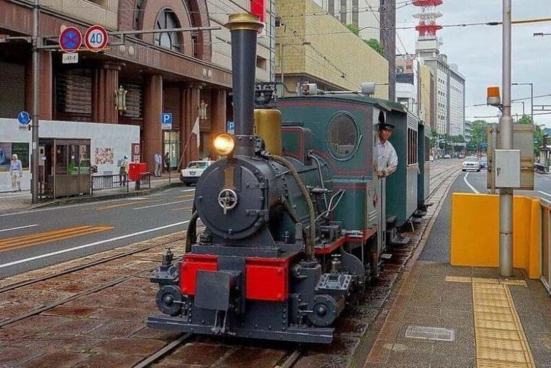 Matsuyama Private Tour with Government-Licensed Guide - The Sum Up