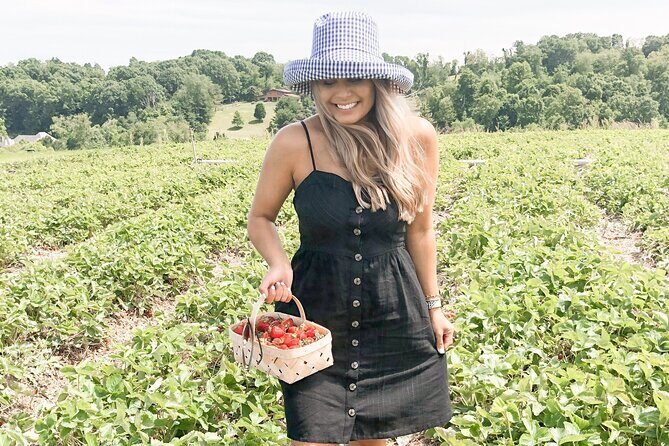 Mattituck Bike Wine Country and Fruit Orchard Tour - Final Word