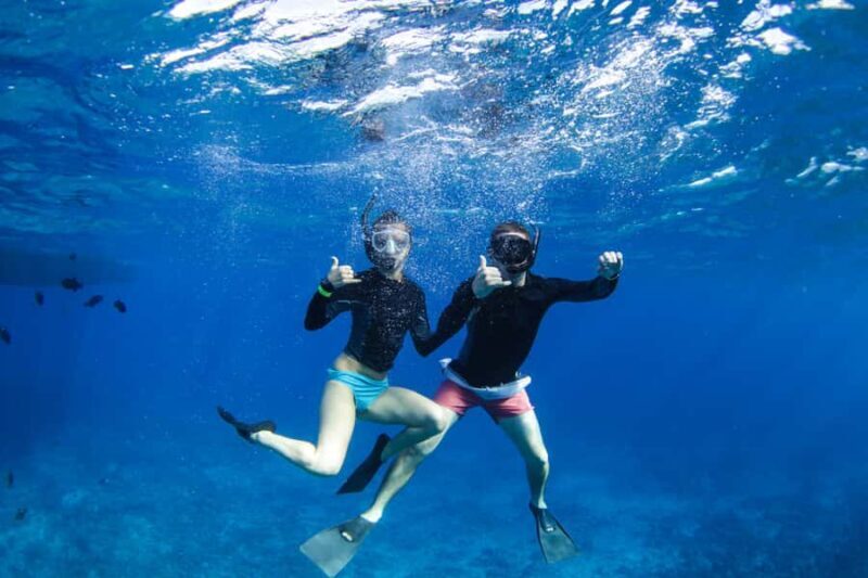 Maui: 3-Hour Molokini Snorkel Experience - Final Thoughts