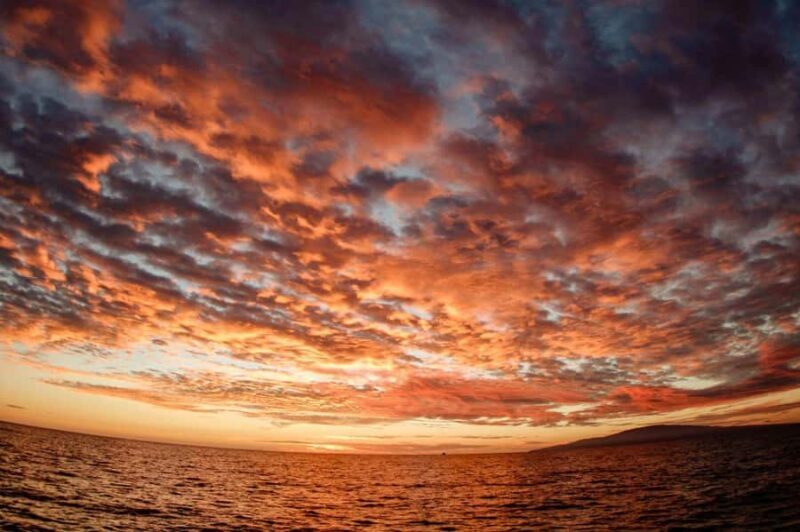 Maui: Alii Nui Luxury Catamaran Day's End Sunset Sail - The Experience in Detail