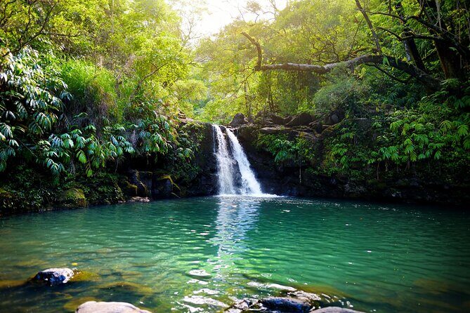 Maui Beach Parks Self-Guided Driving Tour - Who Will Love This Tour?