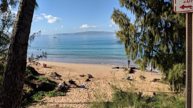 Maui Beach / Shoreline Snorkel - The Sum Up