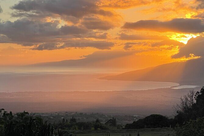 Maui Birdwatching at Maui Bird House - An In-Depth Look at Maui Birdwatching at Maui Bird House