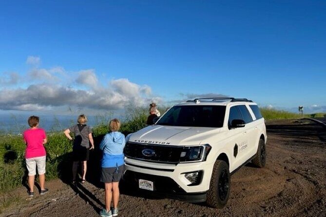 Maui by Storm: Epic Private Luxury Road to Hana Adventure Tour - Who Should Consider This Tour?