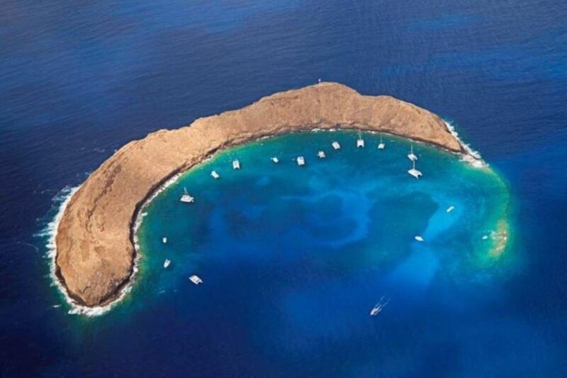 Maui: Deluxe Molokini Snorkel with Breakfast & Lunch - Key Points