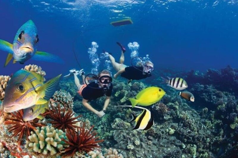 Maui: Deluxe Molokini Snorkel with Breakfast & Lunch - Authentic Experiences and Genuine Value
