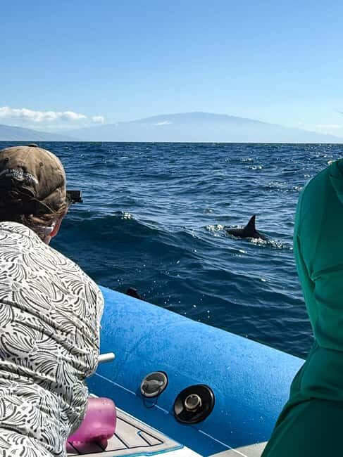 Maui: Eco-Raft Dolphin Watch Tour with Snacks - The Guides and Their Impact