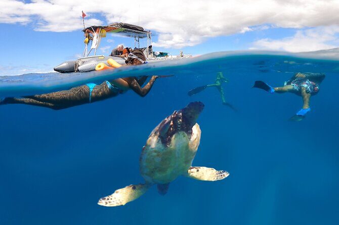 Maui Eco-Raft: Turtle Snorkel + Whale Watch Tour (*New 2n1 ) - Key Points