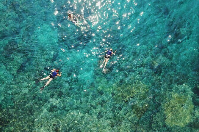 Maui Eco-Raft: Turtle Snorkel + Whale Watch Tour (*New 2n1 ) - Final Thoughts