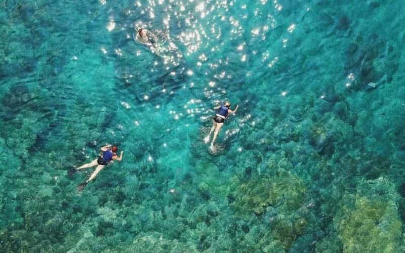 Maui Eco Raft: Turtle Snorkel + Whale Watch(Semi-Private) - Key Points