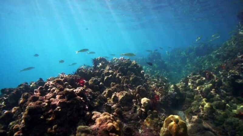 Maui: Flotation Therapy Equipment Rental - Key Points