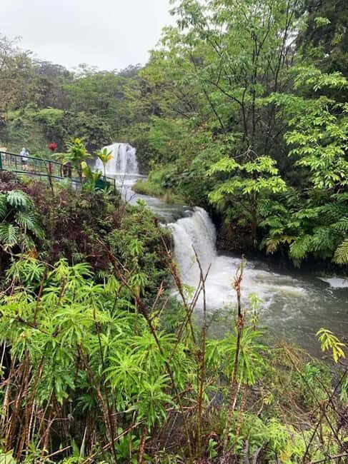Maui: Haleakal National Park and Upcountry Sunset Tour - Final Thoughts