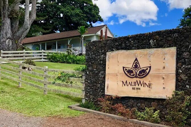 Maui Haleakala Volcano Summit Slingshot Tour from Kihei - The Sum Up