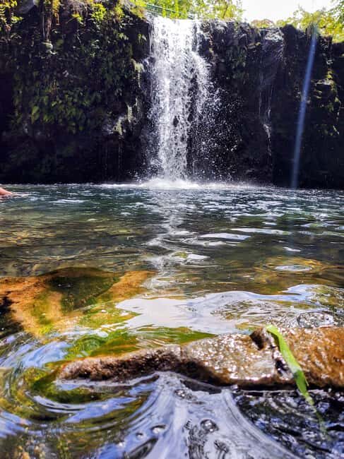 Maui: Halfway to Hana Black Sand Beach & Turtles Tour - A Deep Dive into the Halfway to Hana Tour