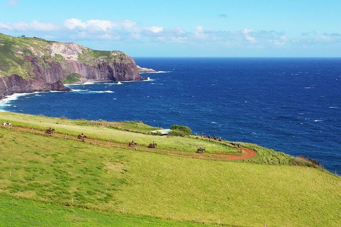 Maui Horseback Adventure at Circle M Ranch With Real Cowboys - Why This Tour Continues to Receive Rave Reviews