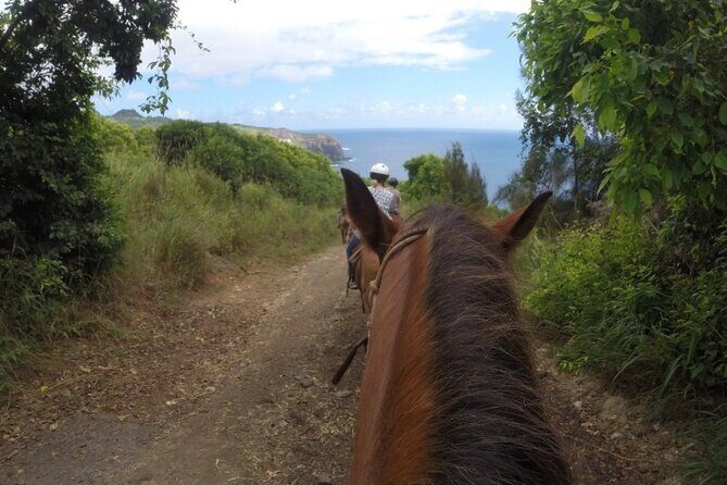 Maui Horseback Adventure at Circle M Ranch With Real Cowboys - In Summary