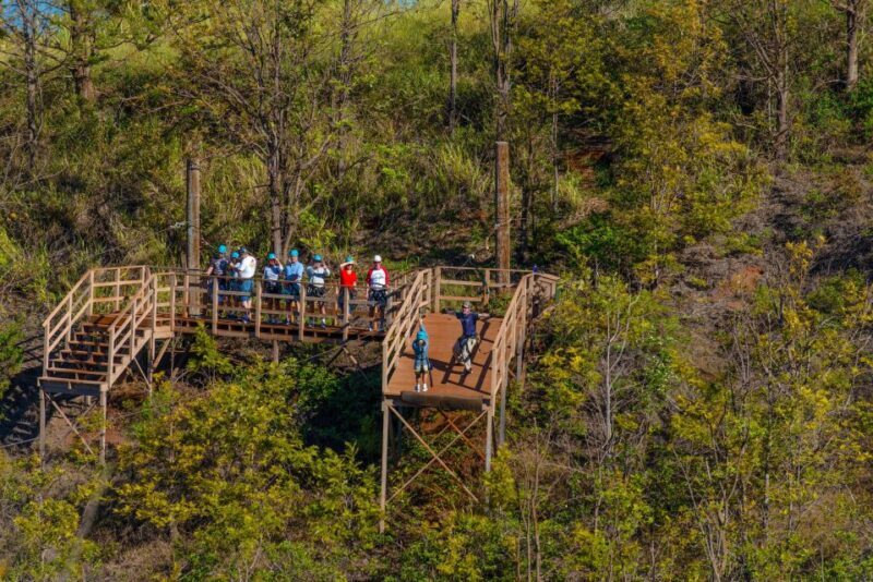 Maui: Ka'anapali 8 Line Zipline Adventure - An In-Depth Look at the Maui Zipline Adventure
