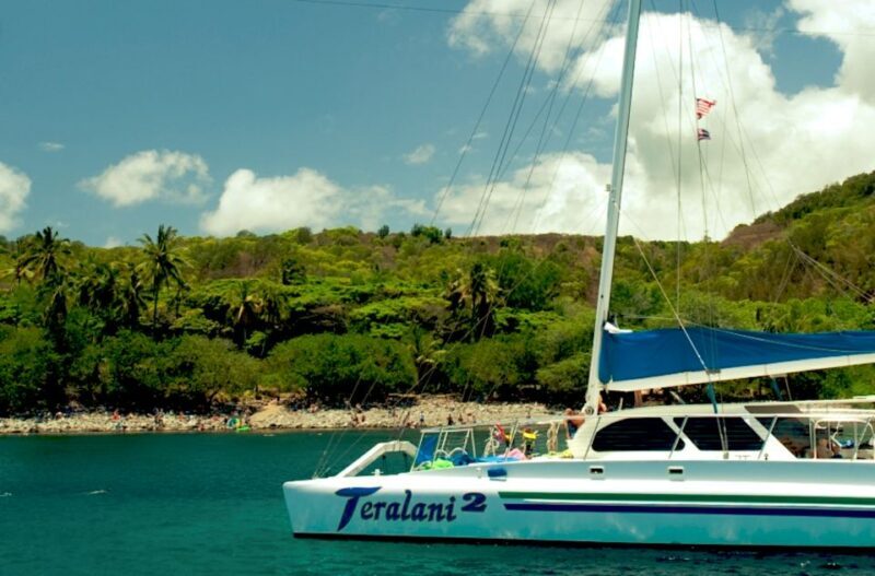 Maui: Kaanapali Beach 4-hour Snorkel w/ BBQ Lunch & Open Bar - Maui: Kaanapali Beach 4-hour Snorkel with BBQ Lunch & Open Bar — A Practical Guide for Ocean Lovers