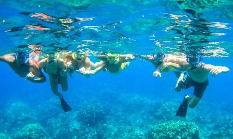 Maui: Kaanapali Beach 4-hour Snorkel w/ BBQ Lunch & Open Bar - Practical Tips & Considerations